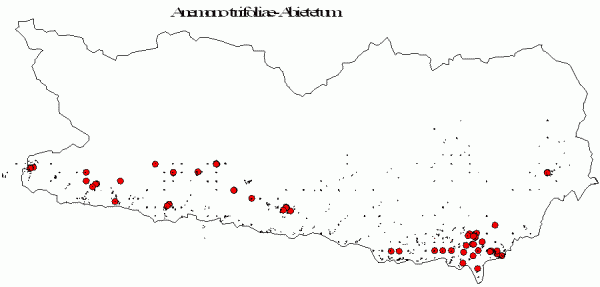 Verbreitung Anemono trifoliae-Abietetum